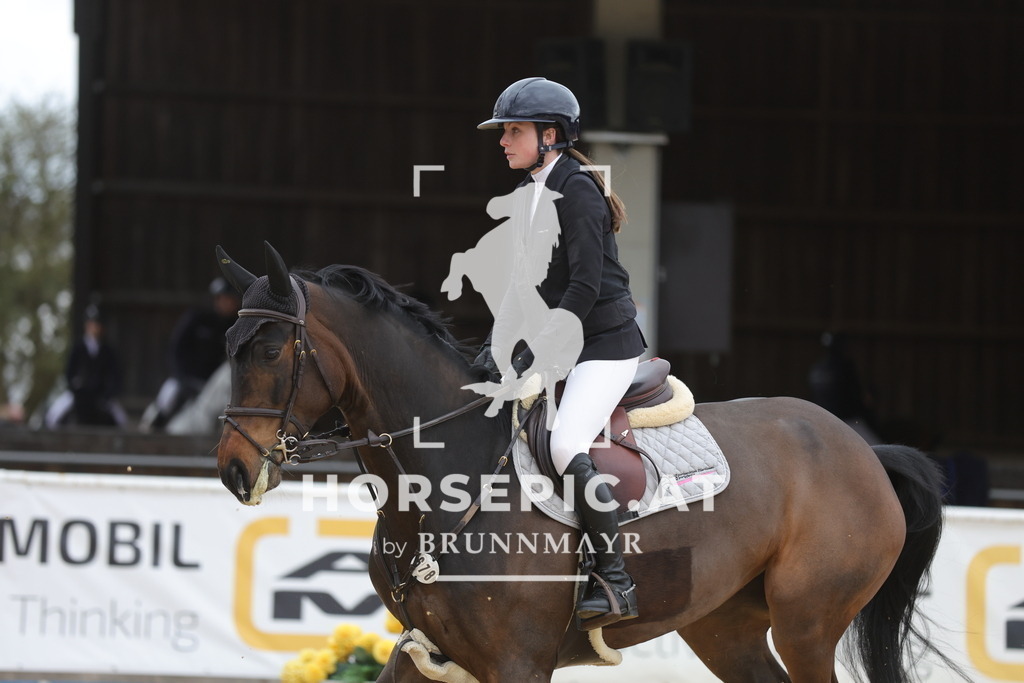 0P6A3642 | Willkommen bei Brunnmayr - Design & Fotografie – Ihrem Spezialisten für Reitturniere und Pferdeveranstaltungen in Oberösterreich, Salzburg und Bayern! Seit über 17 Jahren sind wir leidenschaftlich dabei.