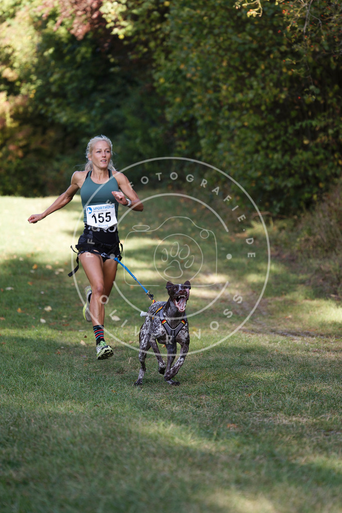 0L8A5175 | Hundefotografie, Tierfotograf, Pfotenfotografie, Fotoshooting Hund, Hunde Portrait, Hundesport, Hundeportraits, Heideshooting, Hunde, Sportfotograf, Hundefotograf, Turnierhundsport, THS,  - Realisiert mit Pictrs.com