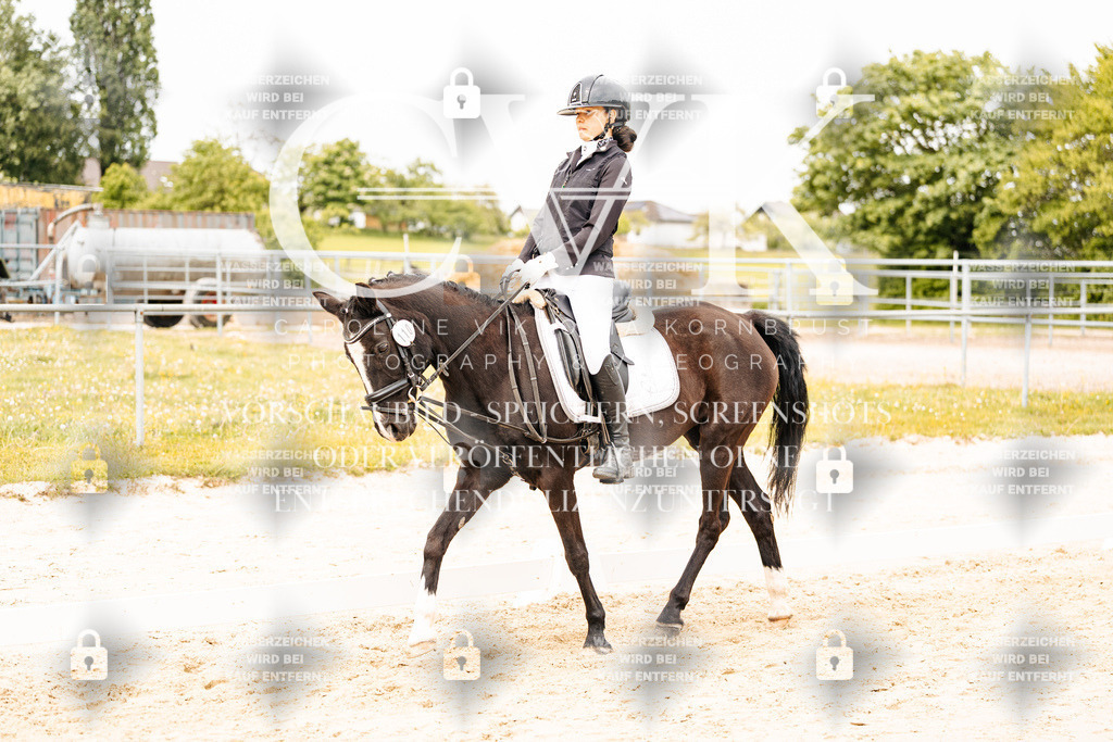 CK904201 | Turnierfotografie Pferdefotografie Trier Rheinland-Pfalz Pferdesport Reitsport Tierfotografie Sportfotografie Pferdevideo Pferdevideografie Equestrianvideography equestrianphotography  - Realisiert mit Pictrs.com