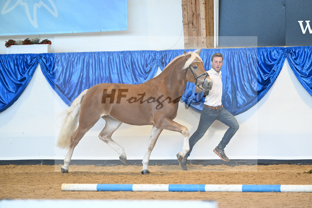 Kat-Nr. 18 Alois v. Amari_Reisberger_60220752 | hf-fotografie - Realisiert mit Pictrs.com