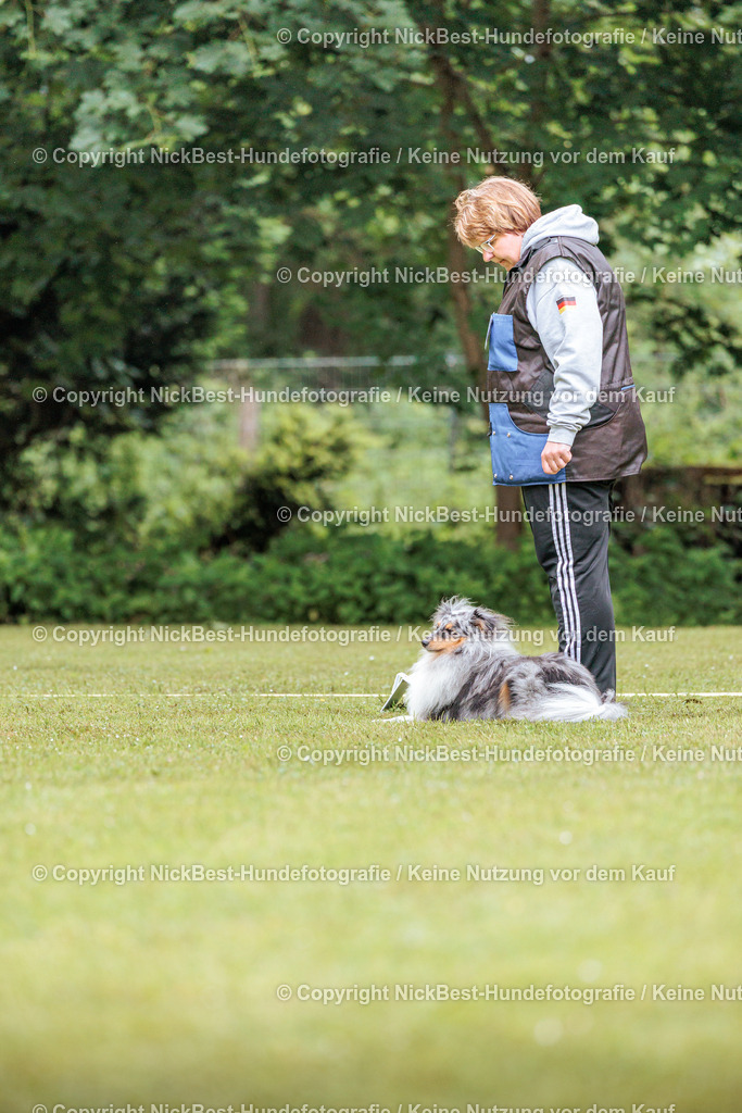 RO-Blumenthal-2026-Nickbest-Hundefotografie-4780 | Dein Hund! Dein Moment! Deine Erinnerungen! Hundefotografie in Bremen Blumenthal. Ich fange die besonderen Momente deines Vierbeiners ein – ob Indoor mit Blitzanlage oder in der freien Natur. Sicher dir dein Moment und dein Termin für eure Erinnerungen.