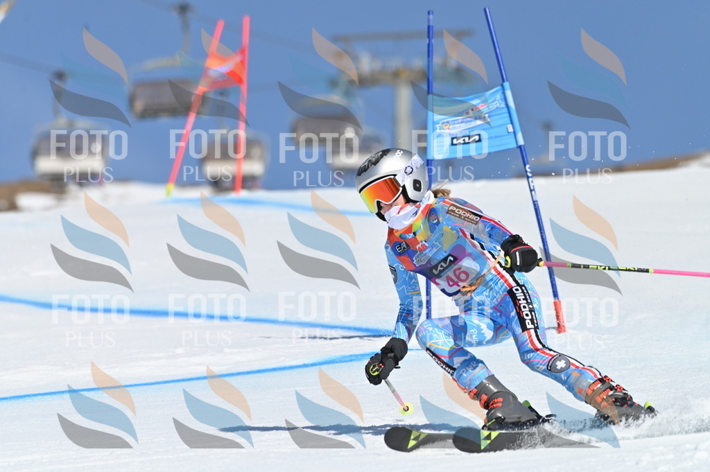 BGV_8468 | holidayphoto