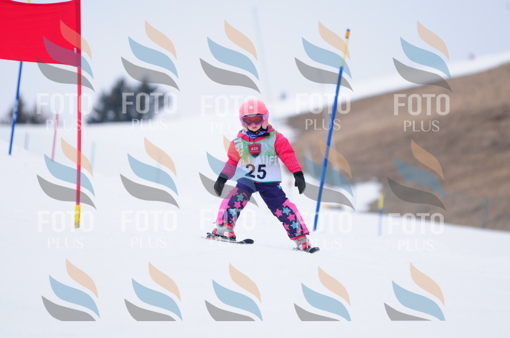 A3433 | holidayphoto