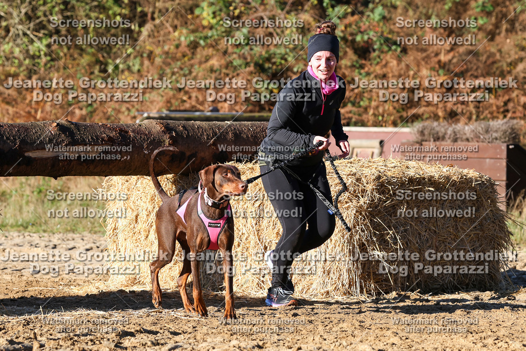 Dog Paparazzi - Strongdog 10-25-1432 | Dog Paparazzi Jeanette Grottendiek Fotografie & Videografie - Realisiert mit Pictrs.com