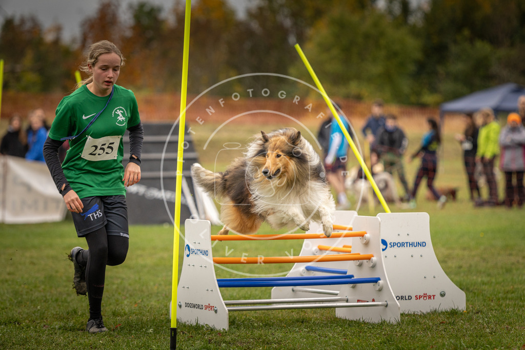 Pfotenfotografie_DV3A6270 | Hundefotografie, Tierfotograf, Pfotenfotografie, Fotoshooting Hund, Hunde Portrait, Hundesport, Hundeportraits, Heideshooting, Hunde, Sportfotograf, Hundefotograf, Turnierhundsport, THS,  - Realisiert mit Pictrs.com