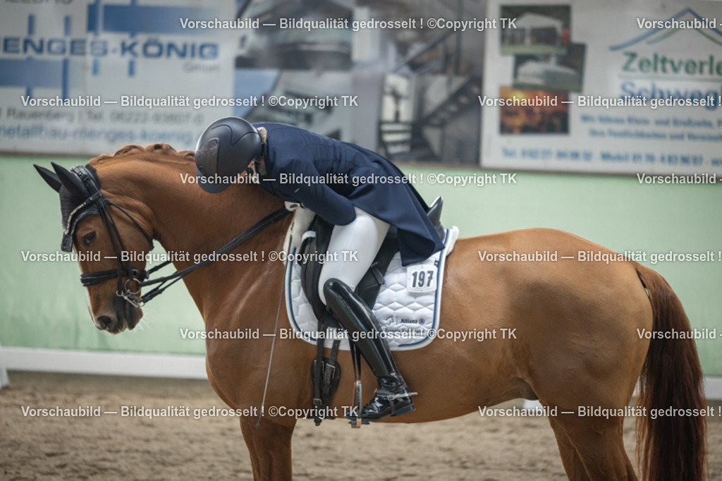 _D5A5305 | Emotionale Pferde- & People-Fotografie rund um Heidelberg, Leimen & Umgebung. Natürliche Fotos von Pferd, Mensch & Familie. Jetzt Termin sichern!