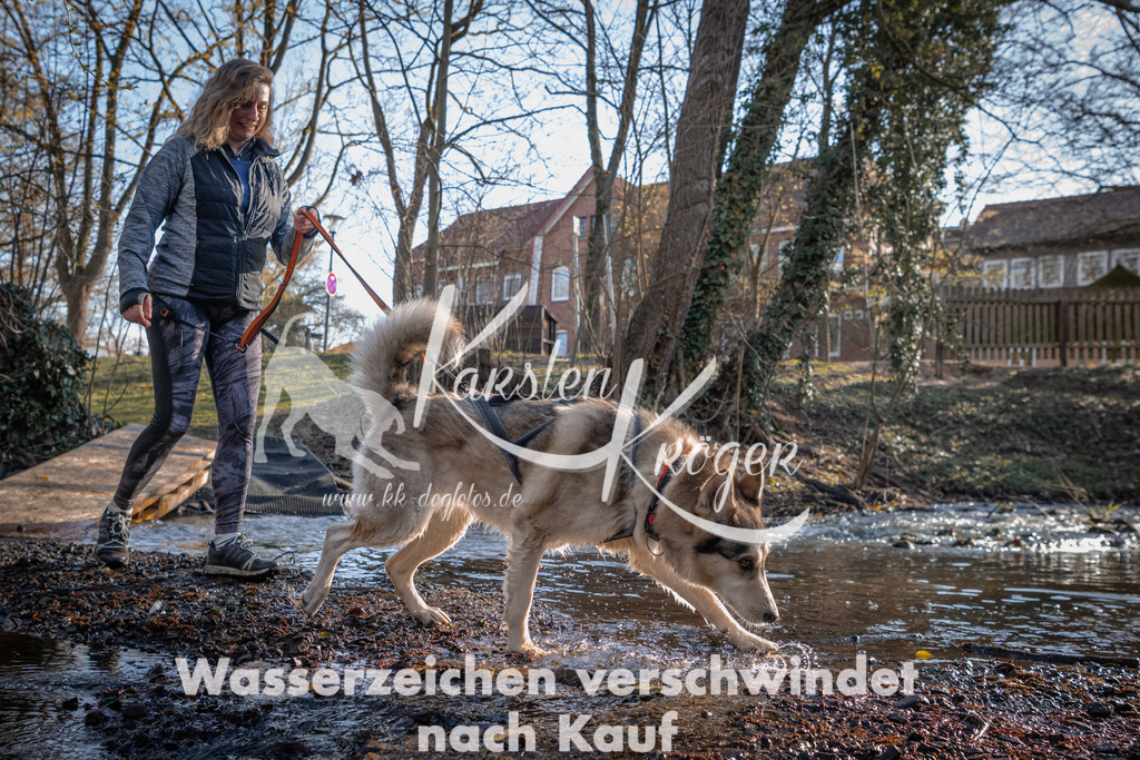 0815_ZZ90283-2 | kk-dogfotos