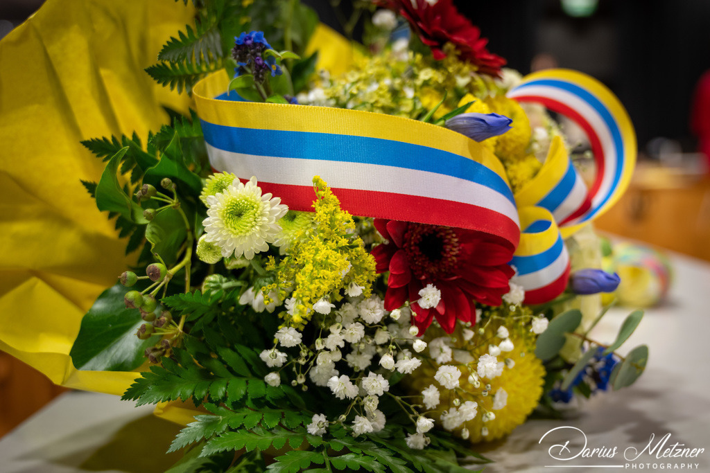 Fastnacht in Mainz | Fastnacht in Mainz am Rhein