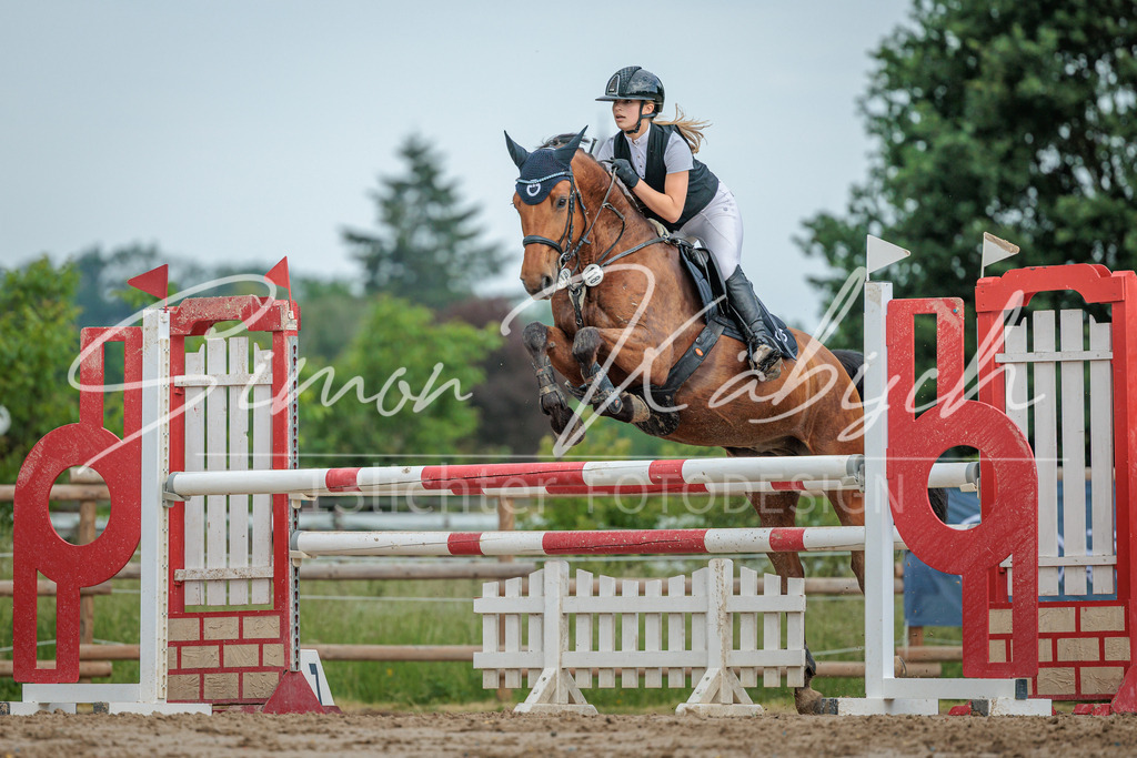 20260530-_3LI2678 | Tierfotografie Pferde, Hunde, Katzen, Haustiere.
Turnierfotografie Reitturniere, Reiten, Springreiten, Dressur in Hanau, dem Main-Kinzig-Kreis und dem Rhein-Main- Gebiet um Frankfurt