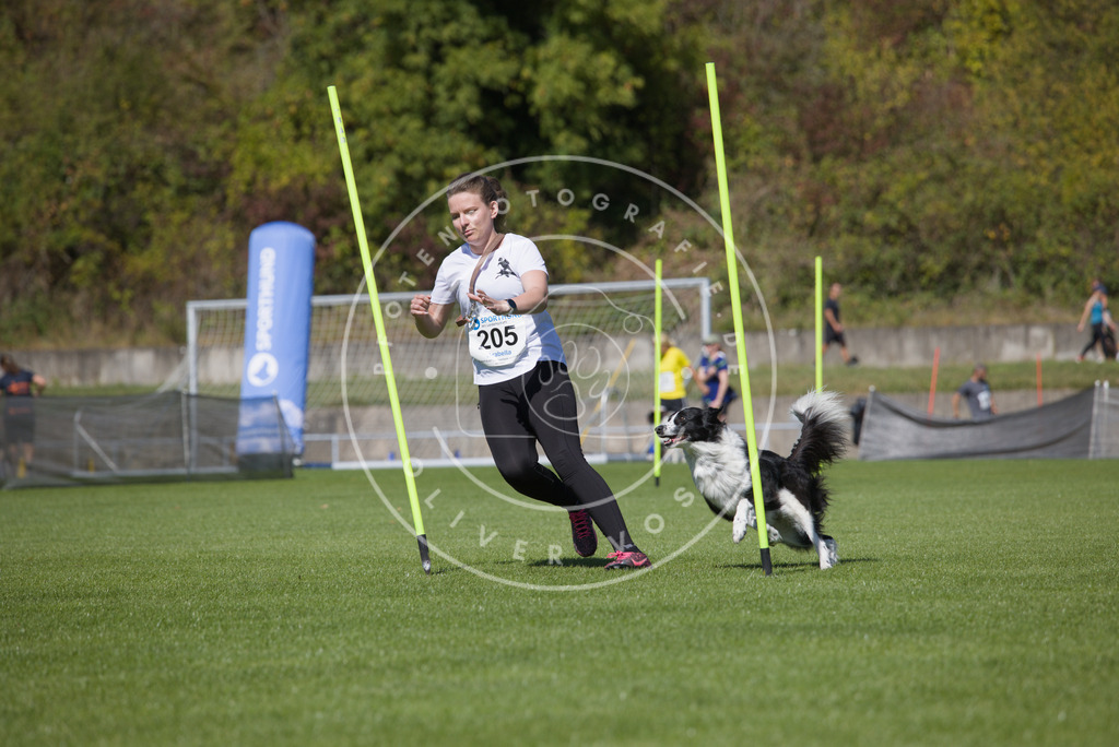 0L8A5821 | Hundefotografie, Tierfotograf, Pfotenfotografie, Fotoshooting Hund, Hunde Portrait, Hundesport, Hundeportraits, Heideshooting, Hunde, Sportfotograf, Hundefotograf, Turnierhundsport, THS,  - Realisiert mit Pictrs.com