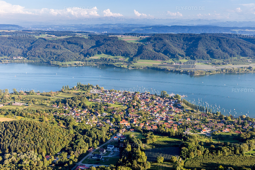 Luftbild: See- Uferbereichen des Untersee in Wangen im Ortsteil Wangen in Öhningen im Bundesland Baden-Württemberg in Deutschland. Foto: IMG_094307.jpg vom 27.08.2016 durch Werner Riehm/FLY-FOTO.de