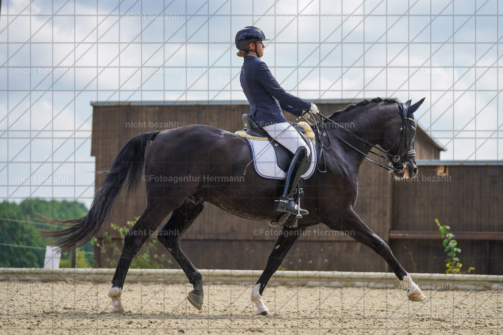 20230826-FAH05818 | Forstinning, 2023, Dressurturnier, Turniersportbilder, Turnierfotografen Bayern, Fotoagentur Herrmann, Reitsportfotografie, Turnierbilder
