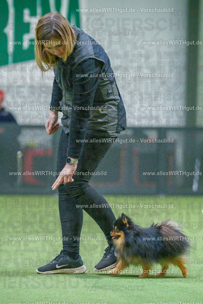 7R503503 | Professionelle Tierfotografie in Mönchengladbach von Daniel Wirth (allesWIRTHgut). Liebevolle & natürliche Bilder von Hunden & Katzen für unvergessliche Erinnerungen.