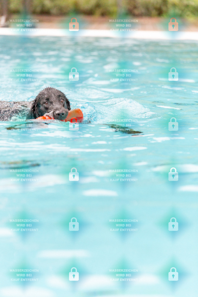 _HP_7248_1000o | HetPix, HetPix Fotodesign, Fotografie, Fotodesign, Webshop, Sportfotografie, Portraitfotografie, Onlineshop, Sportfotografie, Polch, Motorsportfotografie, Eventfotografie