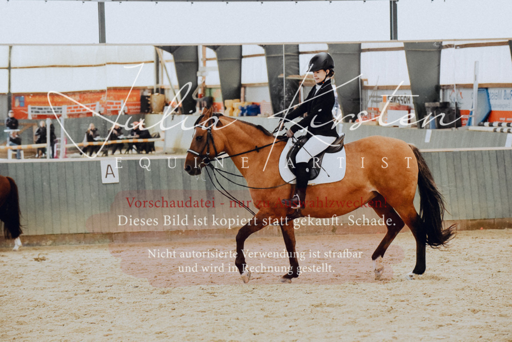 DSC_7309 | Pferde- und Turnierfotografie in Westsachsen. Pferdeportraits, Auftragszeichnungen und intuitive Kunst.