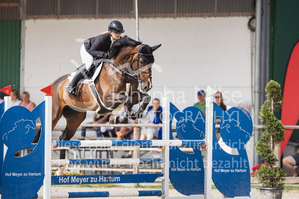 250629_PfSpTa_Stil-L2-360 | Deine schönsten Turniermomente als professionelle Fotos! Entdecke hochwertige Pferdesport-Fotografie im Online-Shop. Jetzt Fotos finden & bestellen!