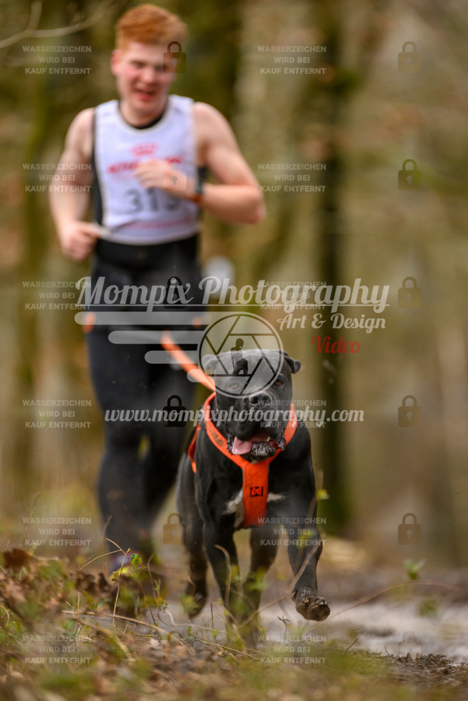 MompixPhotography_CDSM24_SA_CCS-166 | mompixphotography