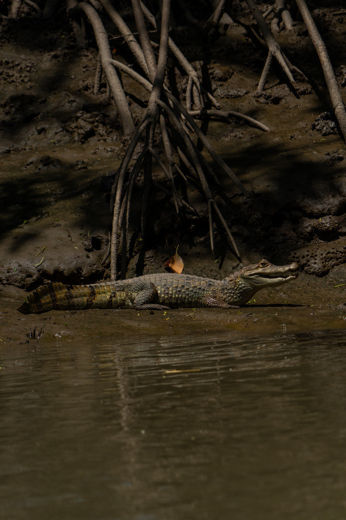 DeltaTour 02.12.25 | paulependelt - Realisiert mit Pictrs.com