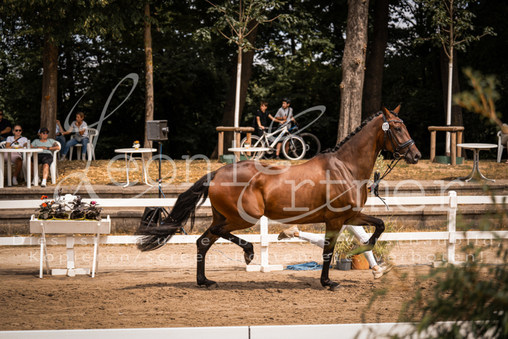 3.Fr00120 | Leoni Ertmer Photography - Realisiert mit Pictrs.com