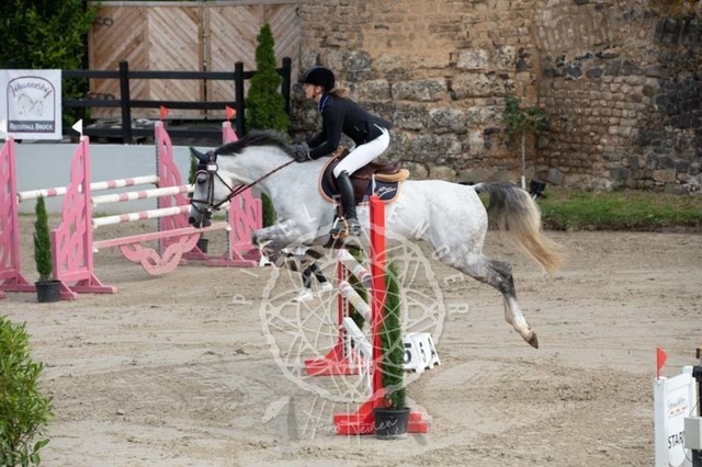 2B4A2081 | pixelfaenger - Realisiert mit Pictrs.com