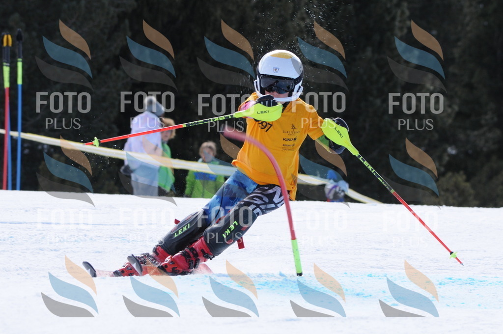 C9096 | holidayphoto