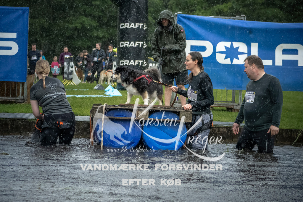 1322_ZZ97825 | kk-dogfotos