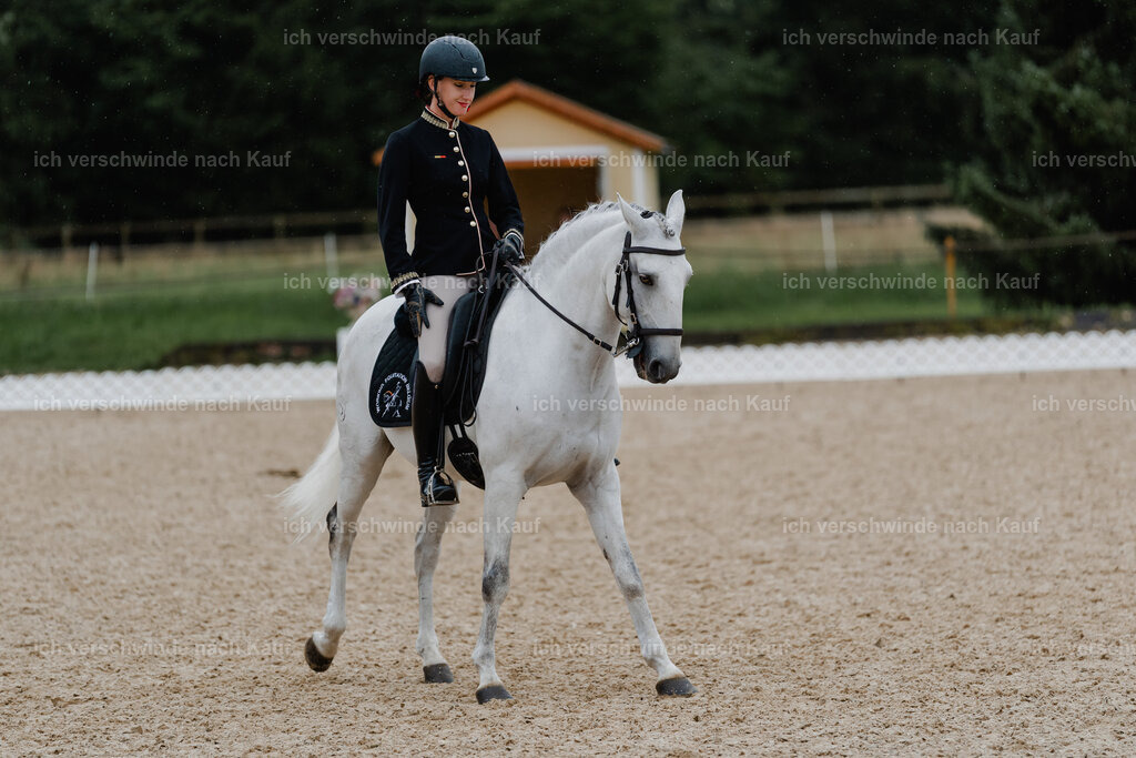 Virginie12FHC2025-8822 | working equitationturnier fotograf videograf stoibphotography marixx film working equitation deutschland reitsport turnierfotografie eventfotografie equestrian events