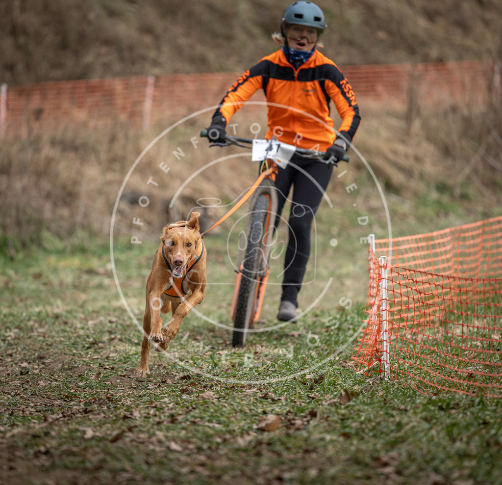 Pfotenfotografie_DV3A0408 | Hundefotografie, Tierfotograf, Pfotenfotografie, Fotoshooting Hund, Hunde Portrait, Hundesport, Hundeportraits, Heideshooting, Hunde, Sportfotograf, Hundefotograf, Turnierhundsport, THS,  - Realisiert mit Pictrs.com