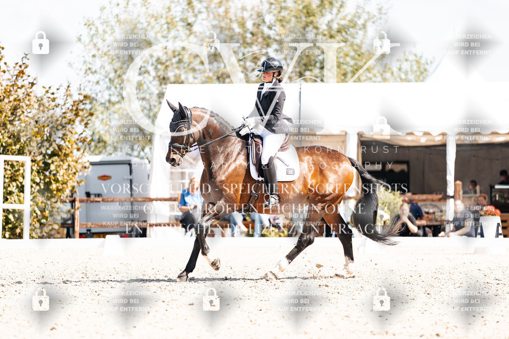 CK903437 | Turnierfotografie Pferdefotografie Trier Rheinland-Pfalz Pferdesport Reitsport Tierfotografie Sportfotografie Pferdevideo Pferdevideografie Equestrianvideography equestrianphotography  - Realisiert mit Pictrs.com