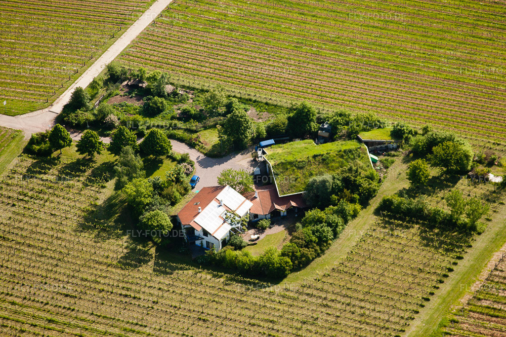 Luftbild: Bioland Weingut Marzolph im Ortsteil Wollmesheim in Landau im Bundesland Rheinland-Pfalz in Deutschland. Foto: IMG_27240.jpg vom 23.05.2010 durch Werner Riehm/FLY-FOTO.de