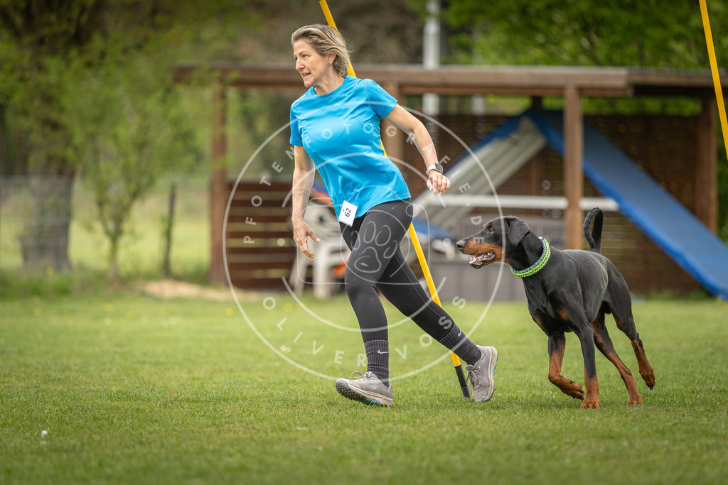 Pfotenfotografie_DV3A1765 | Hundefotografie, Tierfotograf, Pfotenfotografie, Fotoshooting Hund, Hunde Portrait, Hundesport, Hundeportraits, Heideshooting, Hunde, Sportfotograf, Hundefotograf, Turnierhundsport, THS,  - Realisiert mit Pictrs.com