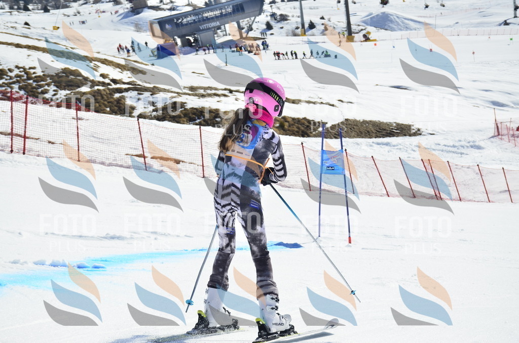 _ELE0122 | holidayphoto