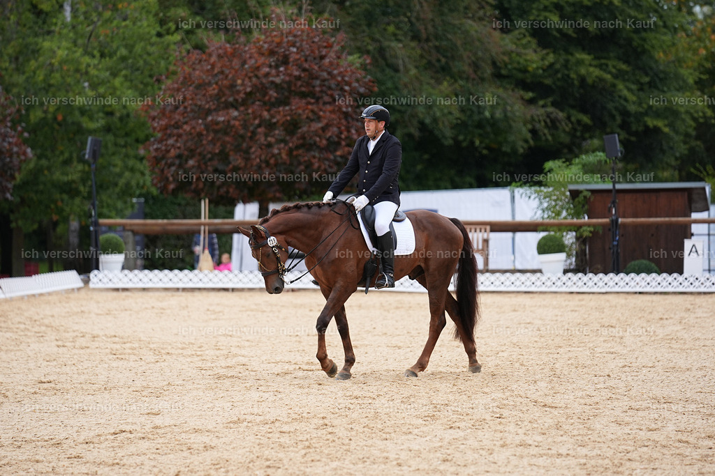 3-239-Dressur M_-Marixx-1931 | working equitationturnier fotograf videograf stoibphotography marixx film working equitation deutschland reitsport turnierfotografie eventfotografie equestrian events