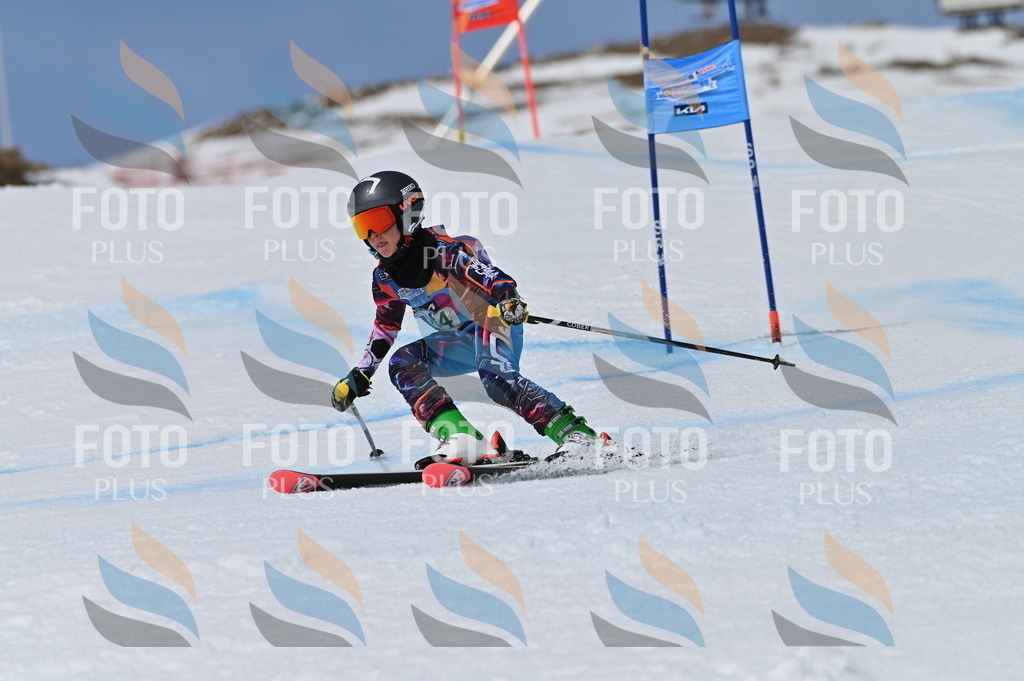 BGV_7195 | holidayphoto