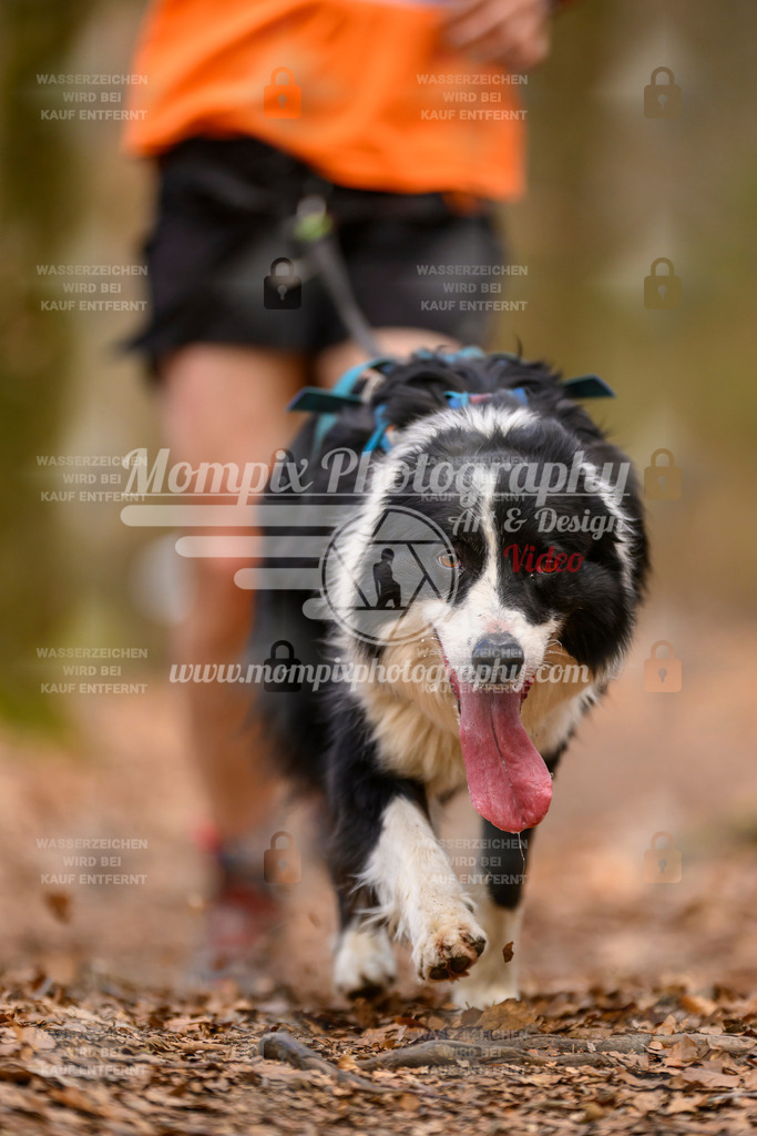 MompixPhotography_Habay2025_SA_CCC-236 | PayLife