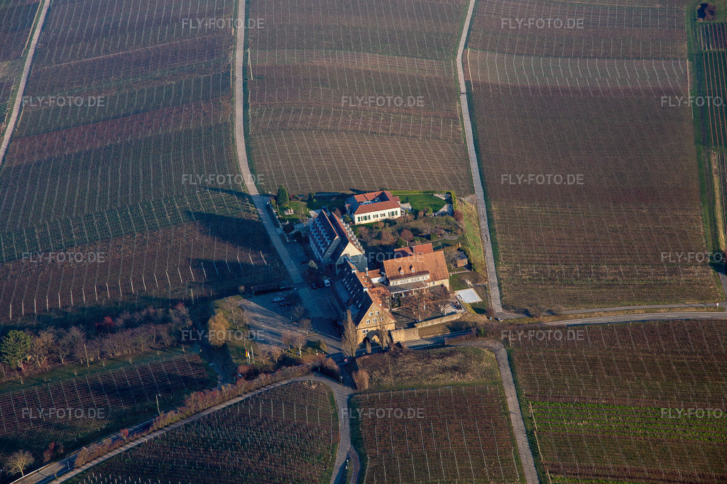 Gebäudekomplex der Hotelanlage  Leinsweiler Hof | Luftbild: Gebäudekomplex der Hotelanlage  Leinsweiler Hof in Leinsweiler im Bundesland Rheinland-Pfalz in Deutschland. Foto: IMG_112530.jpg vom 21.01.2019 durch Werner Riehm/FLY-FOTO.de - Realisiert mit Pictrs.com