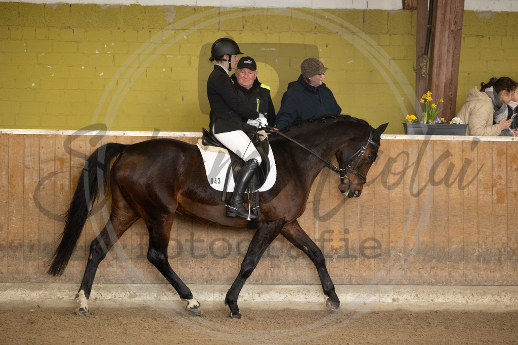 994A8656 | sabrinanicolaifotografie - Realisiert mit Pictrs.com