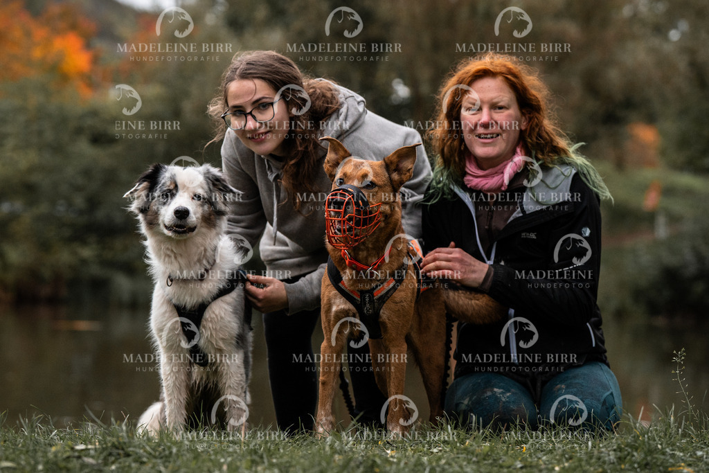 madeleinebirr-fotografie2025.campcanis.Startbis9Uhr-87 | hundefotografie-birr