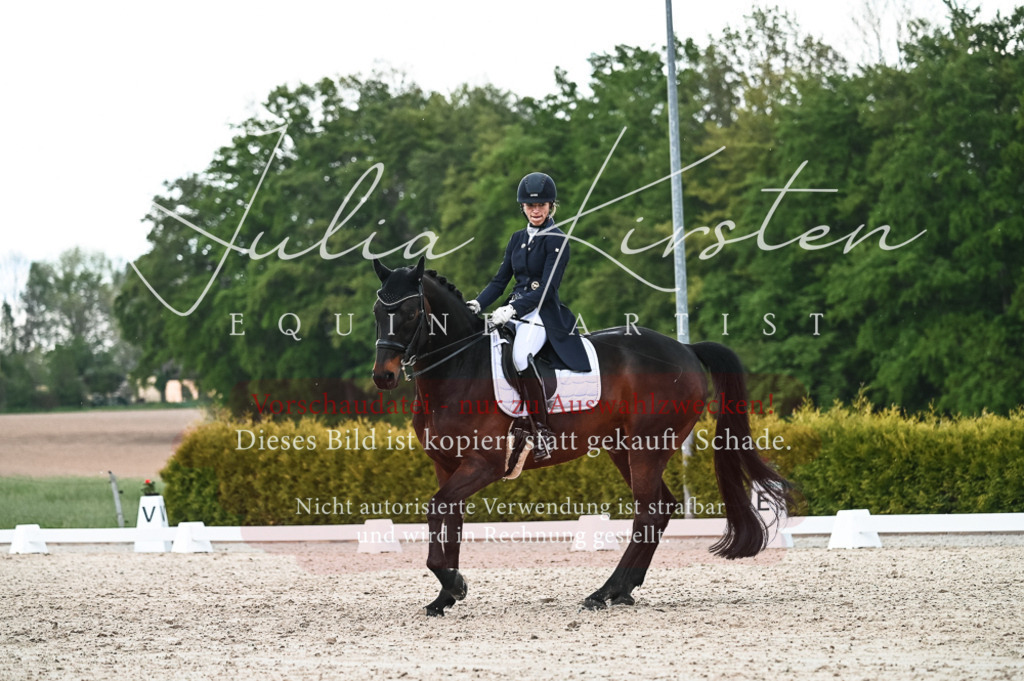 20230514_JK-Röhrsdorf-21-326 | Pferde- und Turnierfotografie in Westsachsen. Pferdeportraits, Auftragszeichnungen und intuitive Kunst.