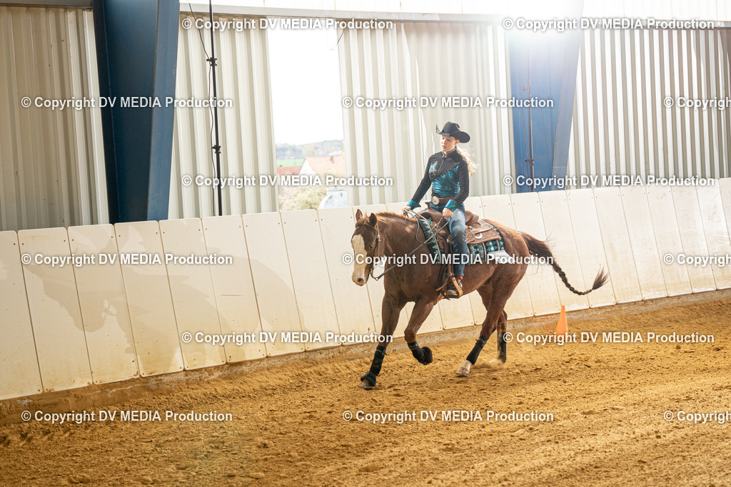 MIT00406 | dv-media-shop - Realisiert mit Pictrs.com