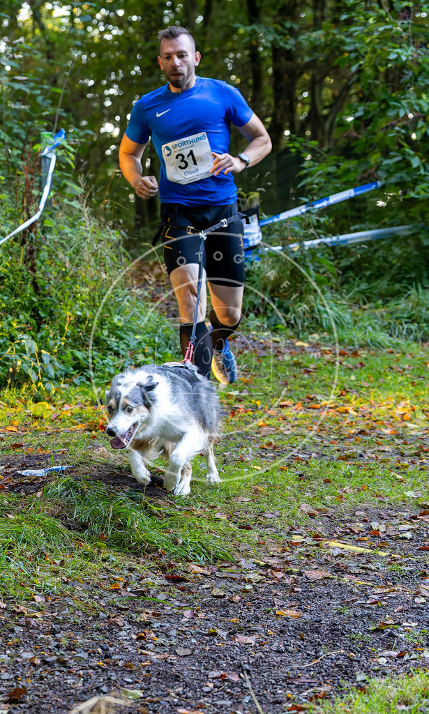 Pfotenfotografie_DV3A6662 | Hundefotografie, Tierfotograf, Pfotenfotografie, Fotoshooting Hund, Hunde Portrait, Hundesport, Hundeportraits, Heideshooting, Hunde, Sportfotograf, Hundefotograf, Turnierhundsport, THS,  - Realisiert mit Pictrs.com