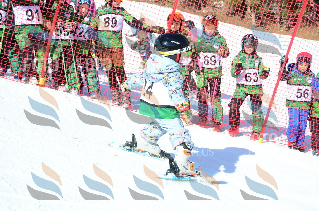 C4795 | holidayphoto