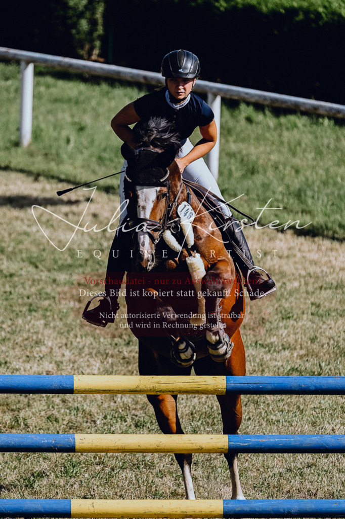 DSC_2019 | Pferde- und Turnierfotografie in Westsachsen. Pferdeportraits, Auftragszeichnungen und intuitive Kunst.