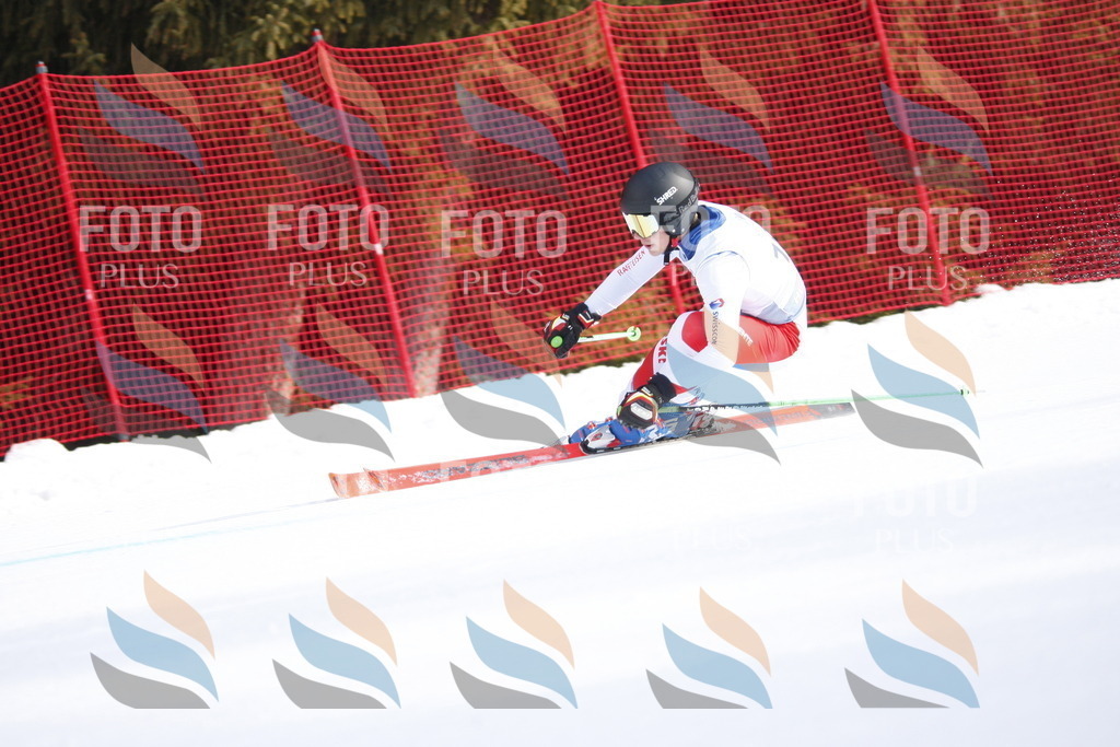 D7707 | holidayphoto