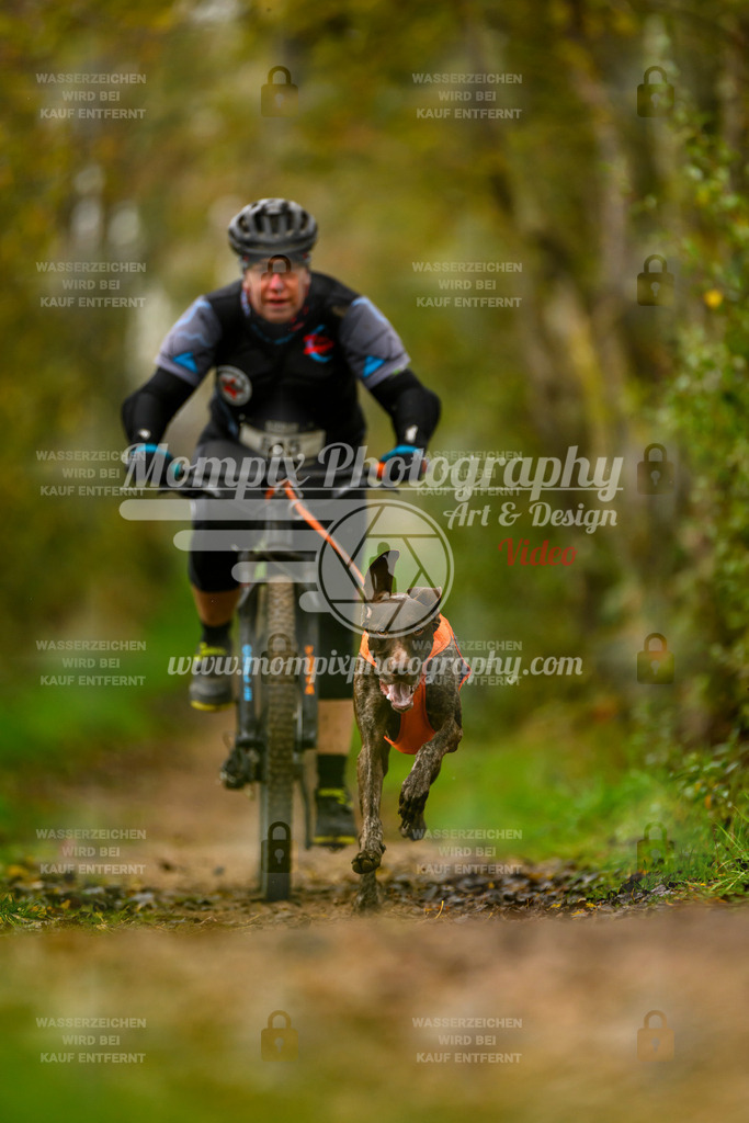 MompixPhotography_20TSB_E6_Bike-78 | mompixphotography
