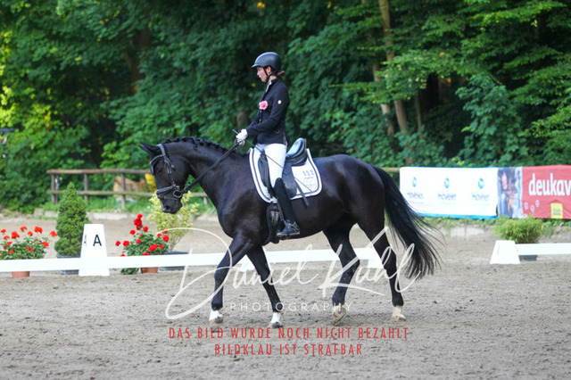 DKP43284 | Turniersportfotografie; Pferdefotografie; Dressurfotografie