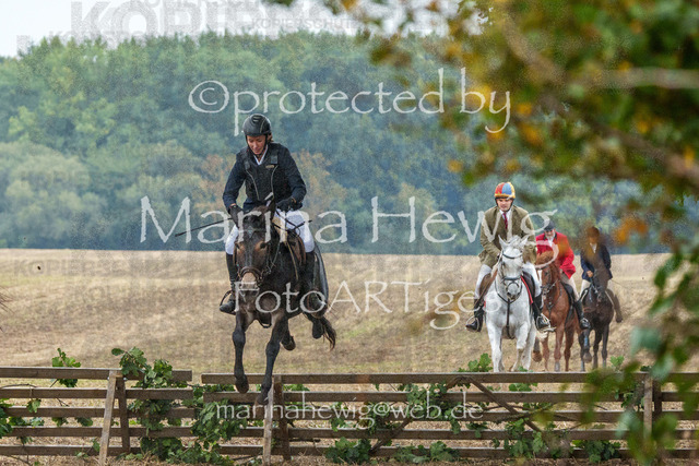 Jagd Perdoel_MarinaHewigMCH04136 | Fotografie, FotoArt, PferdesportArt, Pferdesportfotografie, Landschaftsfotografie, Reisefotografie, Reise, Pferde - Realisiert mit Pictrs.com