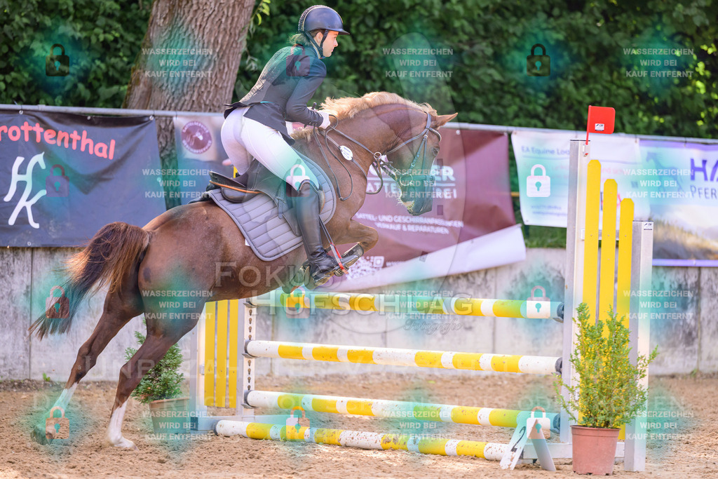 30082026-Giesenbach-Prfg16-0638 | Fokus Hufschlag Fotografie - Realisiert mit Pictrs.com