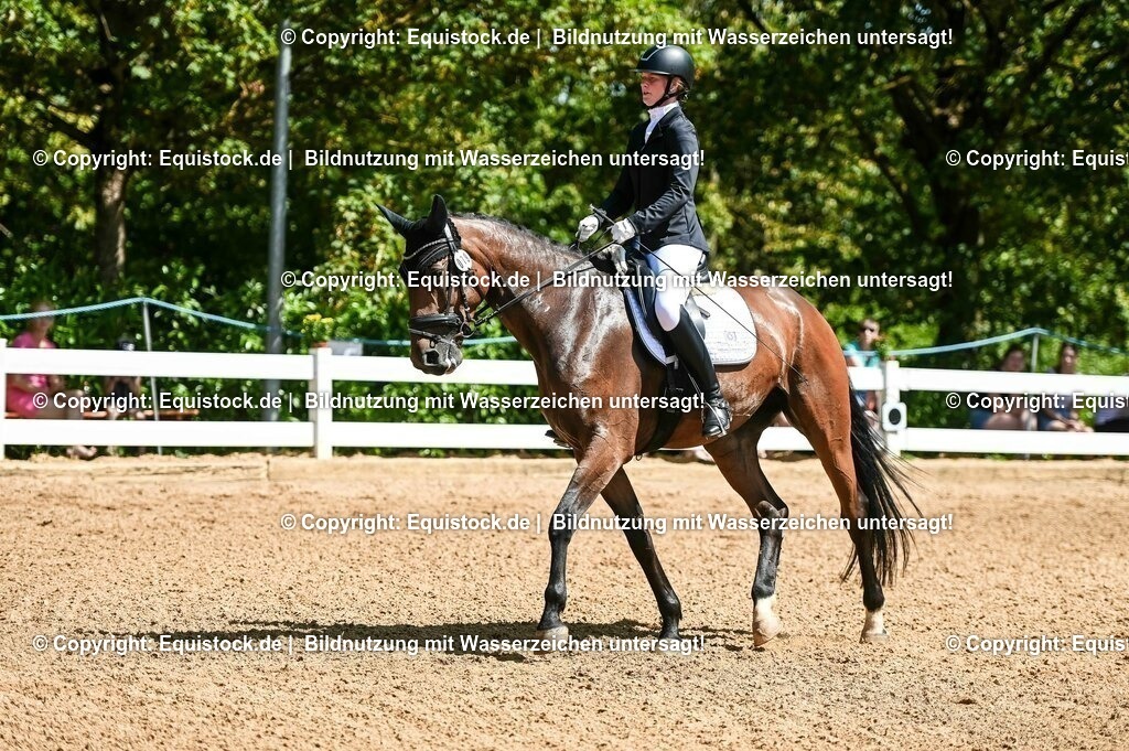 20230715_02_Dressurreiterprüfung Kl.L_0088 | equistock