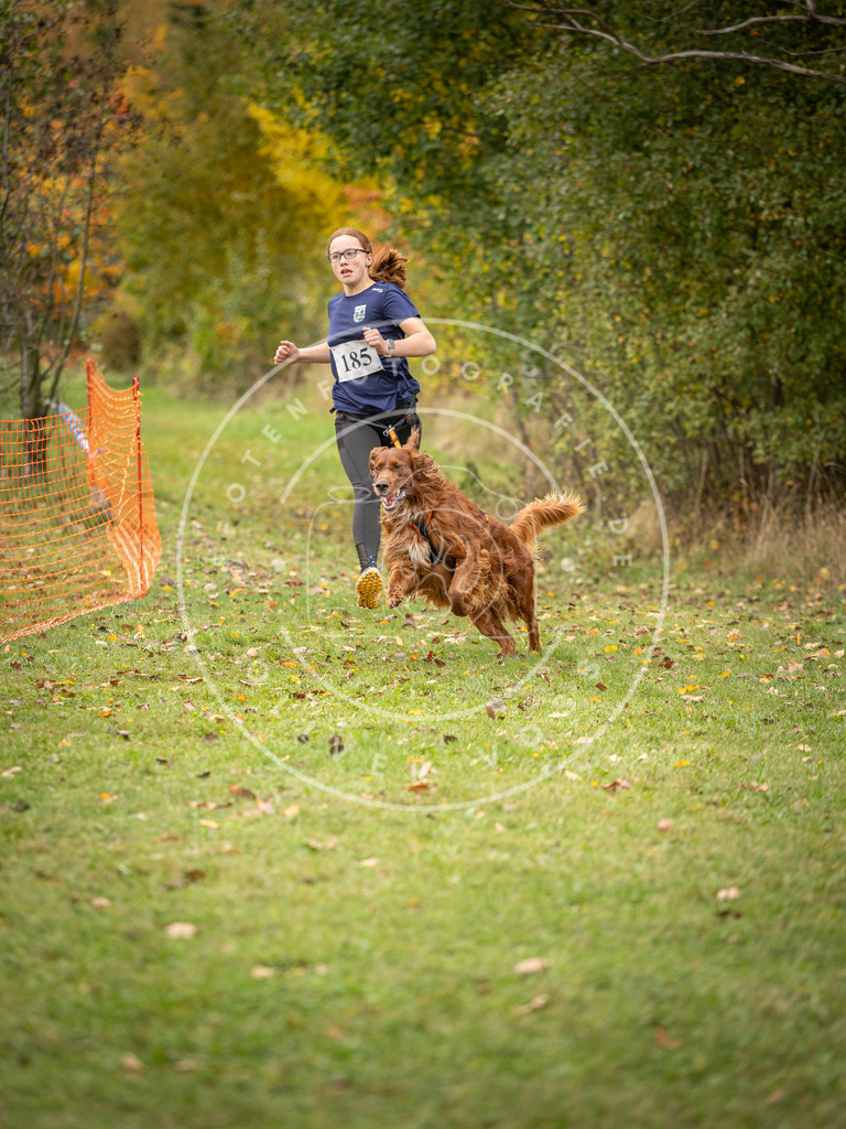 Pfotenfotografie_DV3A3738 | Hundefotografie, Tierfotograf, Pfotenfotografie, Fotoshooting Hund, Hunde Portrait, Hundesport, Hundeportraits, Heideshooting, Hunde, Sportfotograf, Hundefotograf, Turnierhundsport, THS,  - Realisiert mit Pictrs.com